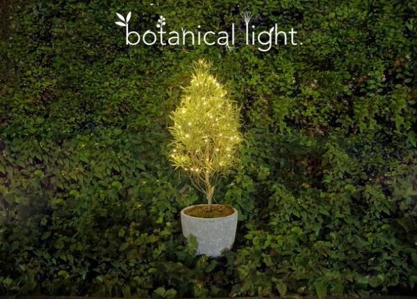 植物の力で発電！環境配慮型のエネルギー『botanical light』を都内の商業施設に設置し2022年2月まで実証実験を実施