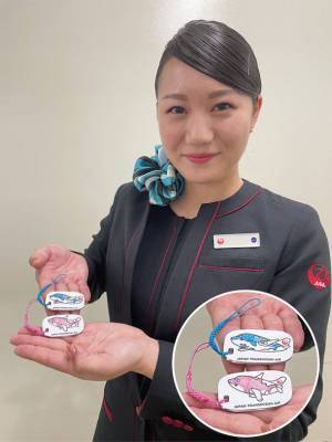 JTA×沖縄美ら海水族館のコラボレーション機、「ジンベエジェット」「さくらジンベエ」のCAミラーが2022年1月1日発売！