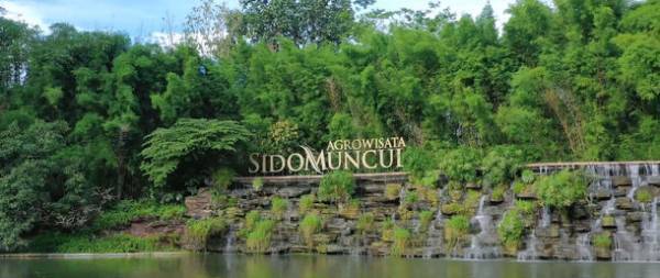 ごみゼロ製造など、SDGsに取り組むインドネシア漢方「ジャムウ」大手メーカーの商品『ターメリック＆タマリンド』をエシカルフェアに出店