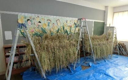 お家のベランダや学校で稲づくりにチャレンジ！ 今年も27万セットを配布します！身近な場所で食育体験「バケツ稲づくり」