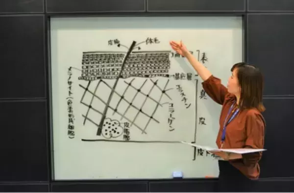 日本トータルテレマーケティング、美容専門育成プログラムを構築　美容化粧品通販の売上拡大や解約阻止に貢献