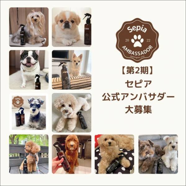 ワンちゃん用スキンケアブランド『Sepiaセピア』第2期公式アンバサダー募集開始！ワンちゃんのスキンケアを毎日の習慣に！