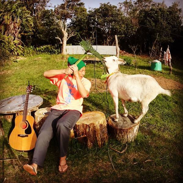 今年の会場は八丈島全域！『八丈レモンフェス 2022』開催決定