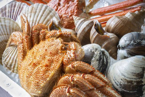 本当に贈りたい、が見つかるWebメディア「ギフトコンシェルジュ」2022.1.11リニューアル！“特別”に出会う、楽しみを。「見つかる、ローカル」 スタート！