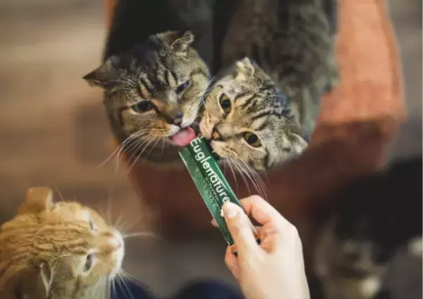 国産ユーグレナを贅沢配合　無添加で美味しい猫のおやつ　1月5日(水)ECショップ公開
