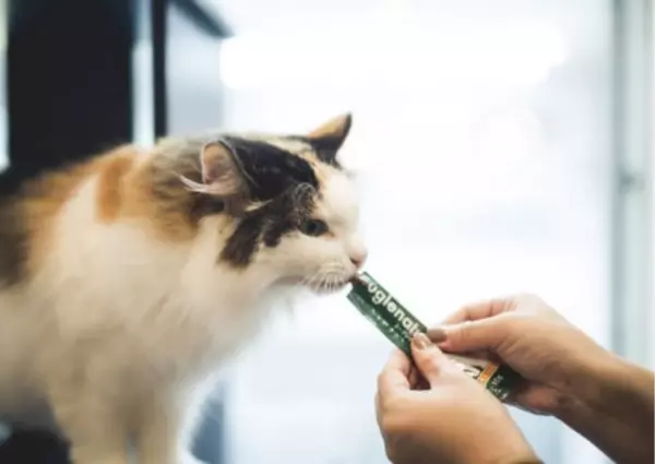 国産ユーグレナを贅沢配合　無添加で美味しい猫のおやつ　1月5日(水)ECショップ公開