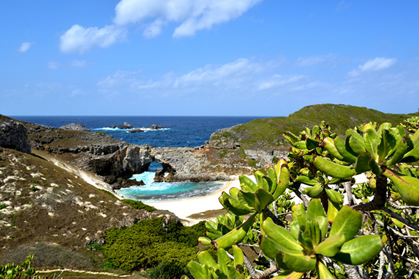 知名度1位の世界遺産は「屋久島」！ 10%以下しか知られていない場所も？～阪急交通社が日本の世界遺産に関する知名度調査結果を公開～