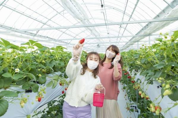 『今年の冬も、家族で、とよたいけん！』ツーリズムとよたからのお年玉！最大2,000円オフのお得なクーポン配布中！