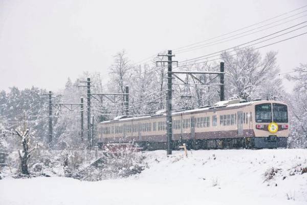 関東一のロケーション！宝登山の臘梅(ロウバイ)が開花　冬のお花見を堪能するライトアップやハイキングなどを実施