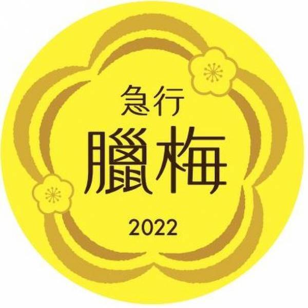 関東一のロケーション！宝登山の臘梅(ロウバイ)が開花　冬のお花見を堪能するライトアップやハイキングなどを実施
