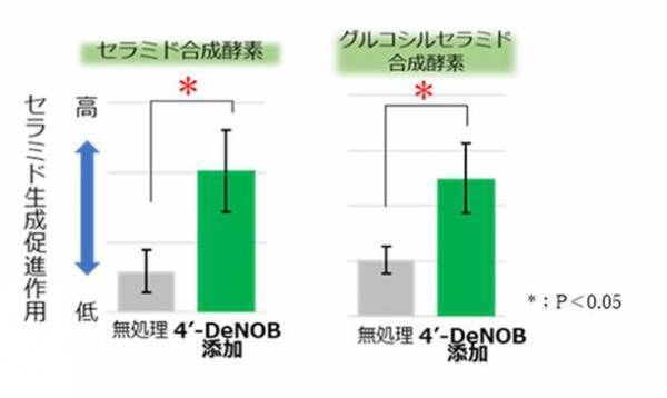 シトラス果皮発酵エキス「4'-デメチルノビレチン」が角層セラミド量を増加させ、シワを改善させることを富士産業が発見