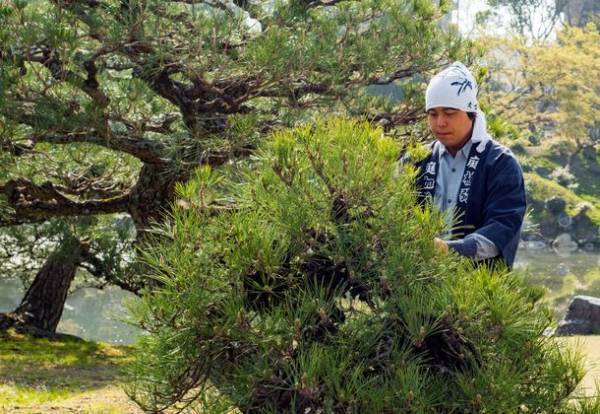 通常非公開・京都「東本願寺」、名勝「渉成園」を堪能するツアー　1月23日(日)、24日(月)、27日(木)、30日(日)、2月1日(火)、6日(日)の6日間開催