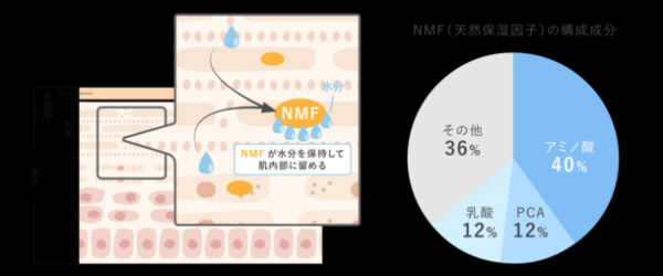 「ノンオイル＆グリセリンフリー」のジェル状保湿液が1月20日に発売！「NMF(天然保湿因子)*1」と「7種のセラミド*2」を同時に補給