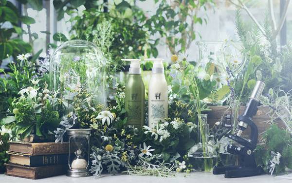 花束みたいな「限定フラワーボトル」が3月1日に発売　planticaと次世代オーガニックシャンプー「ハーバニエンス」がコラボ