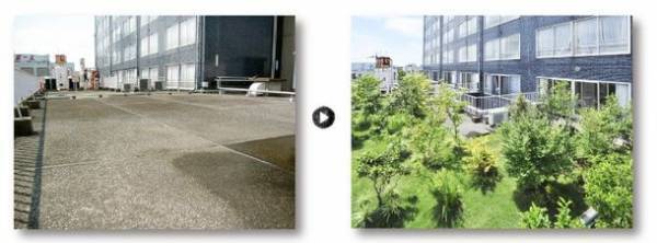 わずか10cmの基盤でも、15年で5mの樹木に成長　土のない場所でも緑化を可能にするボスケの緑化マット「安行四季彩マット」が建物の緑化に貢献