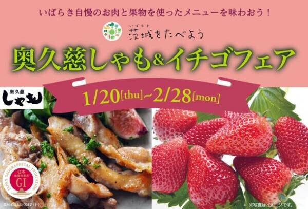 茨城県内レストランメニューフェア「茨城をたべよう　奥久慈しゃも＆イチゴフェア」を1月20日(木)～2月28日(月)まで開催