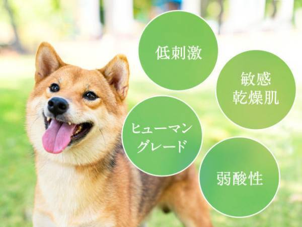 みどり繭シルク配合 愛犬と飼い主の肌に優しいシャンプー「COCONICAL犬用シャンプー」をMakuakeで2/3より先行発売