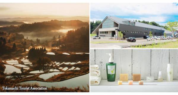 みどり繭シルク配合 愛犬と飼い主の肌に優しいシャンプー「COCONICAL犬用シャンプー」をMakuakeで2/3より先行発売