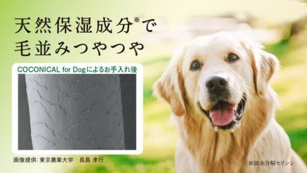 みどり繭シルク配合 愛犬と飼い主の肌に優しいシャンプー「COCONICAL犬用シャンプー」をMakuakeで2/3より先行発売