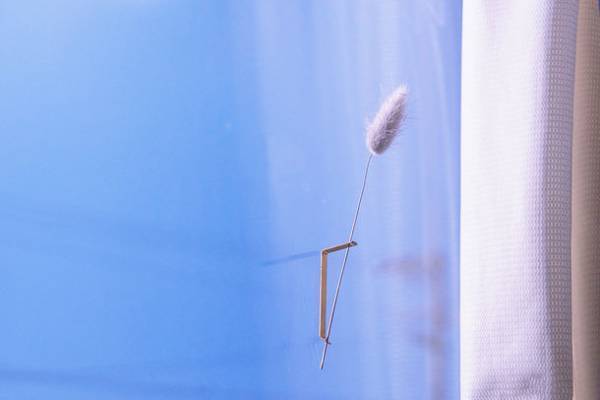 デザイン雑貨SOGUの株式会社Yが「Makuake」にて「どこでも貼れる一輪挿し」を先行販売実施　1月13日から4月10日まで