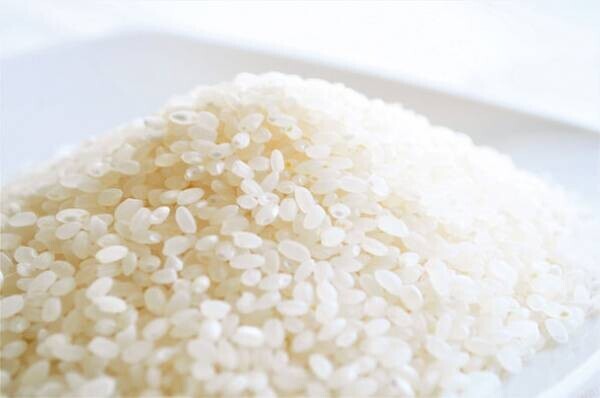 廃棄米を活用した紙素材 kome-kamiを使用した「Sustainable Pad(サステナブルパッド)」を1/28に発売