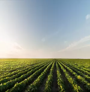 グッドイヤー、業界をリードする技術革新でサステナブル素材70％のタイヤを開発