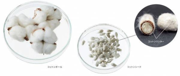 オールシーズン快適な極上ルームウェア　「Makuake」にて1月19日より先行販売開始