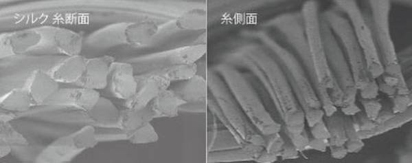 オールシーズン快適な極上ルームウェア　「Makuake」にて1月19日より先行販売開始