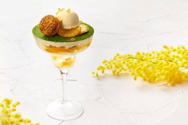 花と感謝をテーマにしたイベント『MIMOSA FESTA 2022』が板野友美さんをミューズに迎え2月11日～3月13日に拡大開催決定！