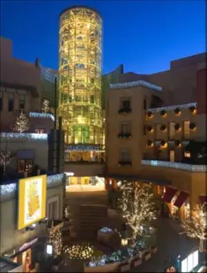 花と感謝をテーマにしたイベント『MIMOSA FESTA 2022』が板野友美さんをミューズに迎え2月11日～3月13日に拡大開催決定！