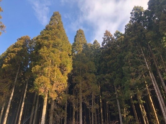 「森林を活用した脱炭素社会の実現」に向けた連携協定の締結について