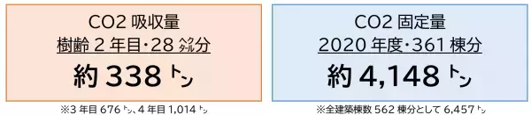 宮崎県にスギの再造林費用を寄付