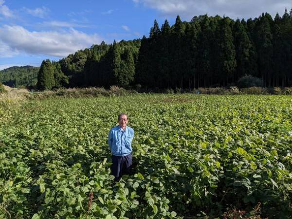 廃棄のおからを肥料にして育てた大豆が原料の豆腐、「充填絹(京都市産大豆使用)」をMakuakeにて2月14日まで先行販売実施