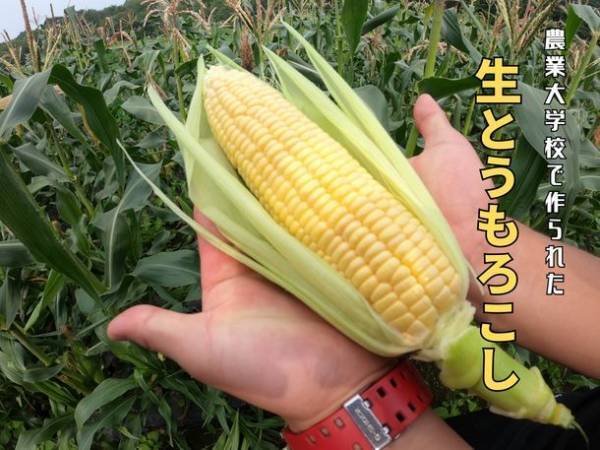 経営難の農業大学校を救いたい！！～22歳の農業大学生が大学の復興手伝います～　CAMPFIREにてクラウドファンディングを1月11日に開始