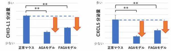 富士産業、毛組織細胞への刺激により分泌される新たな育毛タンパクを発見　～新たな育毛アプローチによる脱毛症に対する効果へ期待～