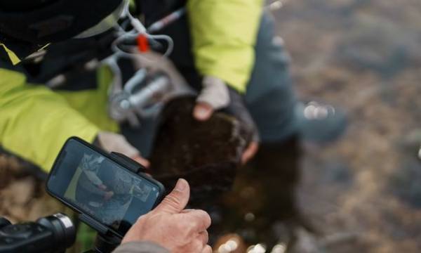 清瀬市 柳瀬川 オンライン自然観察会　-川にすむ魚の種類を見てみよう-
