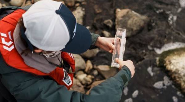 清瀬市 柳瀬川 オンライン自然観察会　-川にすむ魚の種類を見てみよう-