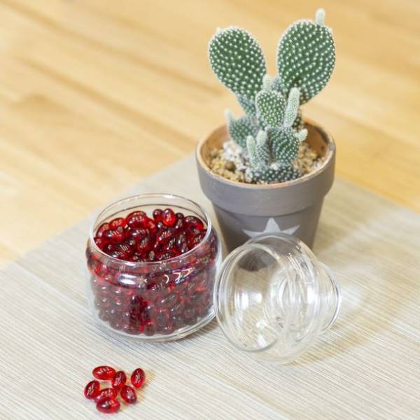 ノルウェー本社の世界最大手クリルオイル供給会社 アーケル・バイオマリン社 日本法人設立