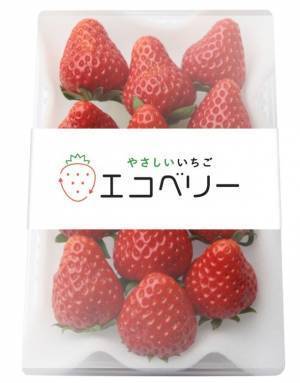 日本初※！カーボンニュートラル・オーガニック・化学農薬不使用・完全LED栽培で作られた【エコベリー】を6月から量産出荷開始
