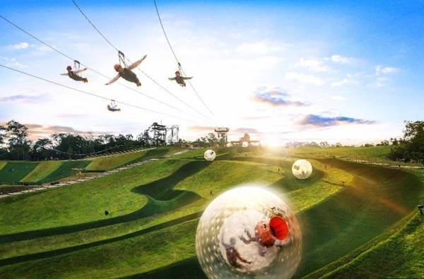 ネスタリゾート神戸大自然の壮大さを生身で体感して、全身からほとばしる強烈な興奮を！ここでしか体験できない大空の大冒険「スピード・ホーク」