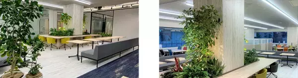 働き方改革を推進する、地方拠点オフィスのリノベーションを実施福岡オフィス【U BASE CANAL】グランドオープン