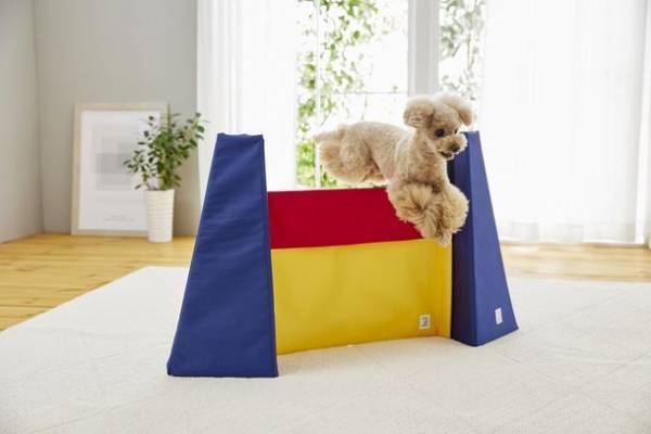 雨天やステイホーム時のおうち遊びに。愛犬のストレス解消にぴったりの室内玩具「Sippoleアジリティ」に新シリーズが登場。