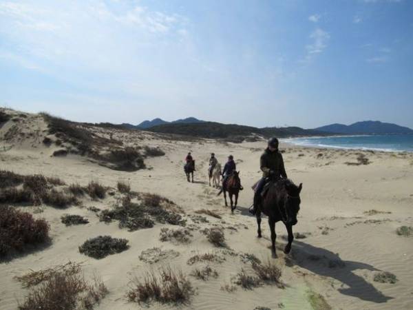 海の中道海浜公園、「パーク・ツーリズム」をテーマにした滞在型レクリエーション拠点が2022年3月15日に開業決定！
