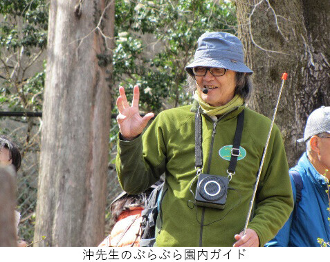 【六甲高山植物園】2022年3月19日（土）春の訪れとともにシーズンOPEN！