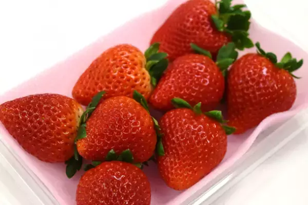 ～「栃木ブランド食材×大阪食文化」第二弾～　大阪市内の飲食店12店舗で『栃木ブランド食材フェア2022』を1月28日より開催！