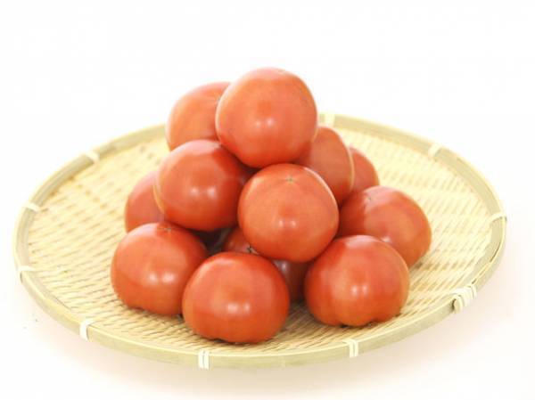 ～「栃木ブランド食材×大阪食文化」第二弾～　大阪市内の飲食店12店舗で『栃木ブランド食材フェア2022』を1月28日より開催！