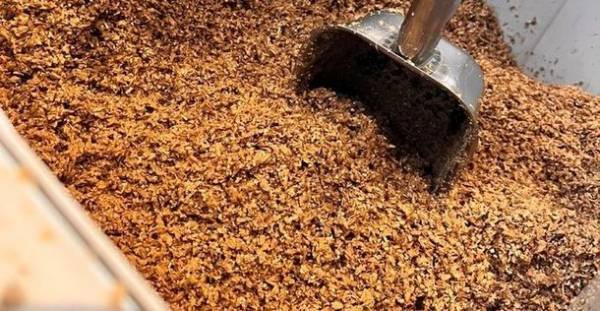 廃棄となるモルト粕を使った上質なボックス用素材「クラフトビールカード-FS」を2月中旬に販売開始