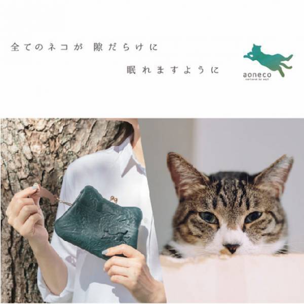 2022年2月22日猫の日を盛り上げましょう！保護ネコ支援プロジェクト【aoneco】サイトリューアルのお知らせ