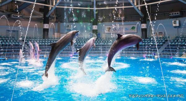 第31回ダヴィンチマスターズ フィールドプログラムinマクセル アクアパーク品川『海の生きものの生態と私たちが暮らす環境について考えよう』