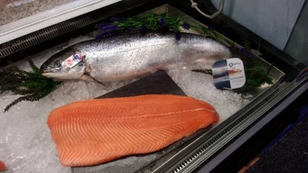 アスタキサンチン含有混合飼料「Panaferd（Ｒ）-AX」がオーガニック認証ECOCERT INPUTSを取得しました！